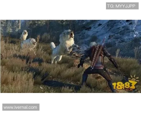 狼队与约维尔激战正酣谁能在这场较量中笑到最后