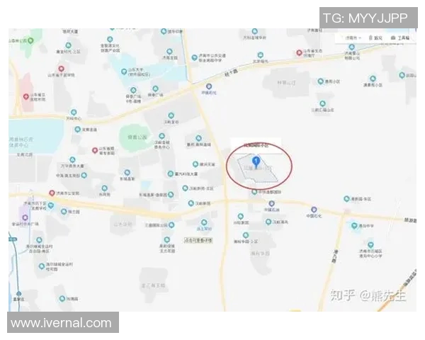 南京网球队的节奏体系与网球战术的深度解析与实践探讨