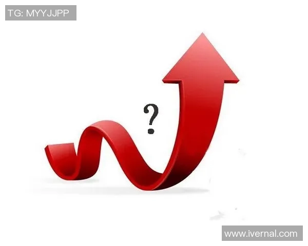 希拉尔与赖扬对决分析及推荐策略详解