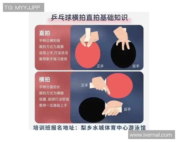 陈敏独家揭秘乒乓球技巧与心得分享助你提升球技的秘诀